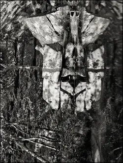 $rock_reflect.webp