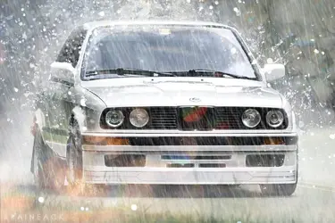 $DSC_3872_RAIN2.webp