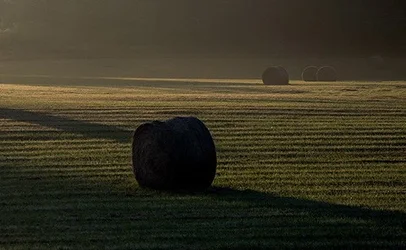 $hay_bale.webp