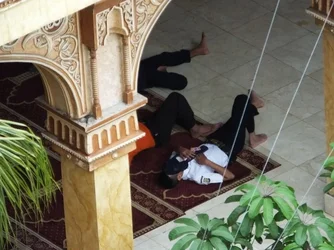 $9293320382_bcd52b59a5_z.webp