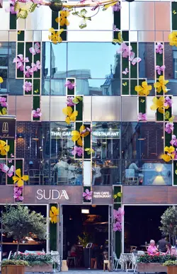 $w Suda.webp