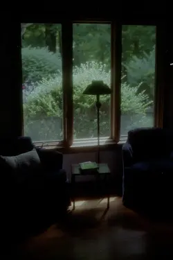 $Window.webp