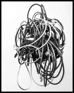 $tangled.webp