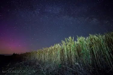 $wheat-field-planetarium.webp $wheat-field-planetarium.webp