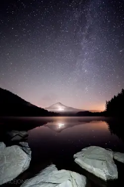 $trillium-twilight.webp
