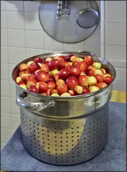 $crab_apples.webp