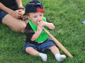 $BabyBat.jpg $BabyBat.jpg