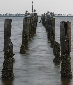 $Ocean Springs (5 of 2).webp