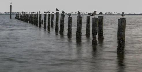 $Ocean Springs (6 of 2).webp