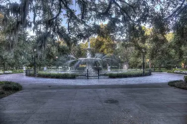 $Savannah park222.webp