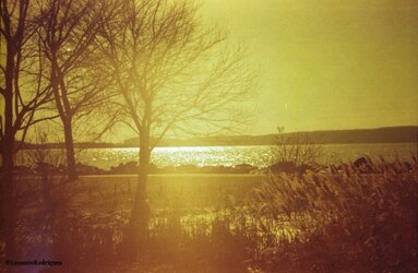 $Day 36 - Redscale river.jpg