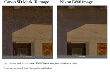 $Canon 5D-III vs Nikon D800_A..jpg