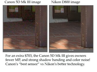 $Canon 5D-III vs Nikon D800_B.jpg