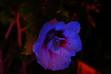$IMG_4206 1000p.JPG $IMG_4206 1000p.JPG