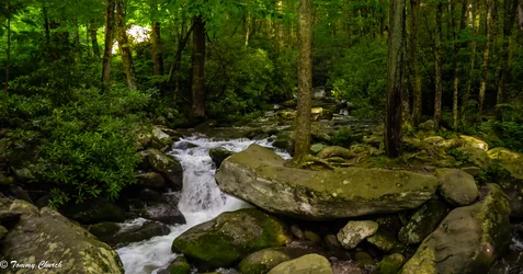 $20130608-DSC_1179.webp