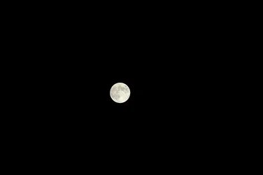 $Moon.webp