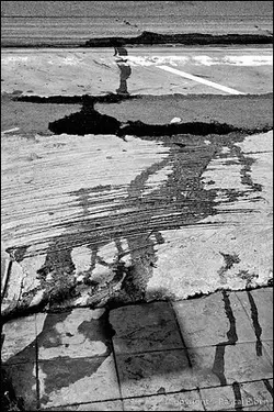 $005_looking_the_ground_or_2010_08_0159.jpg $005_looking_the_ground_or_2010_08_0159.jpg
