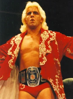 $the-nature-boy-ric-flair-81658dc0-sz655x878-animate.webp