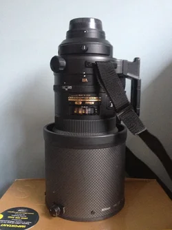 $300.webp