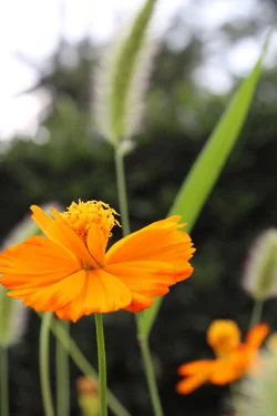 $IMG_0966.webp