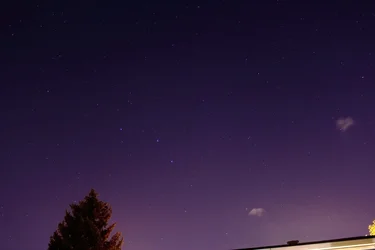 $000IMG_1750 1000p.webp