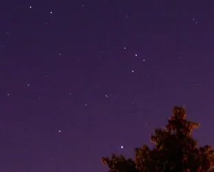 $000IMG_1750 full zoom crop.webp