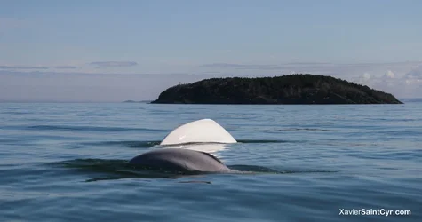 $quebec2013-39.webp