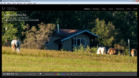 $horses.webp