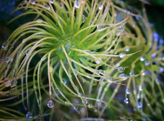 $00IMG_0025 1000p.webp