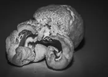 $popcorn resize.webp
