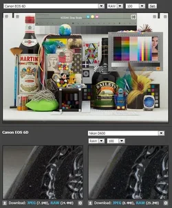 $100.webp $100.webp