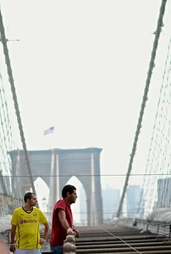 $bridge1.webp