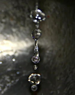 $Edit 2IMG_8659_edit-Edit.webp