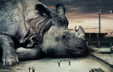 $Rhino-Constructionsite-web.jpg