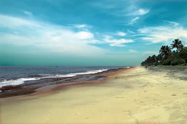 $Beach 3 edited.webp
