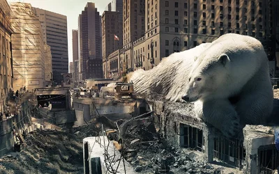 $Polar-ConstructionSite-web.webp $Polar-ConstructionSite-web.webp