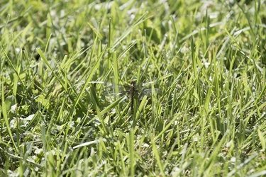 $IMG_5361.webp