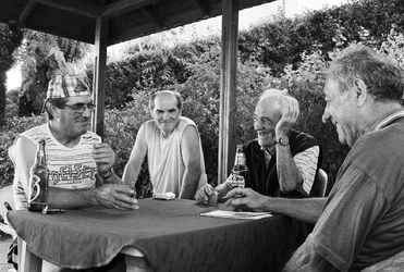 $Playing cards bw web .webp