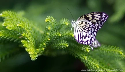 $IMG_7473-M.webp $IMG_7473-M.webp