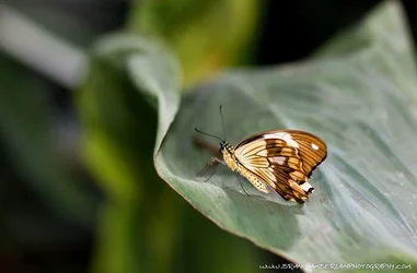 $IMG_7496-M.webp $IMG_7496-M.webp
