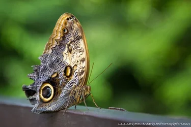 $IMG_7422-M.webp $IMG_7422-M.webp