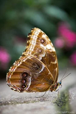 $IMG_7405-fix-M.webp $IMG_7405-fix-M.webp