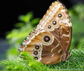 $IMG_7434-M.webp $IMG_7434-M.webp