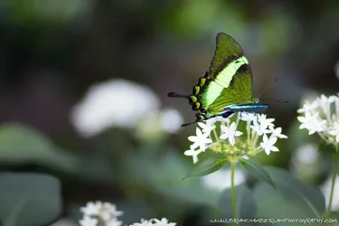$IMG_7469-M.webp $IMG_7469-M.webp