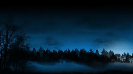 $clouds-photography-dark-night-mist-forest-hd-wallpaper-40564.webp