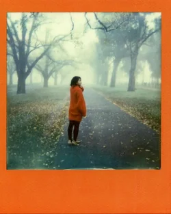$7 - Polaroid SX70 with TIP PX70 Nigo.webp $7 - Polaroid SX70 with TIP PX70 Nigo.webp