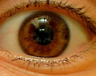 $eye.webp