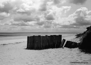 $Beach and windbreak resized 2.webp