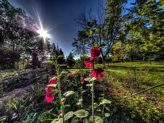 $P9240002-2_3-2_4-2_5-2_6-2_tonemapped.webp