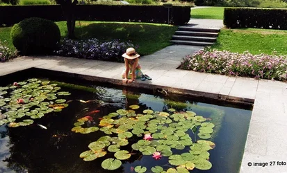 $gir by pond 1-cloned-cropped.webp $gir by pond 1-cloned-cropped.webp